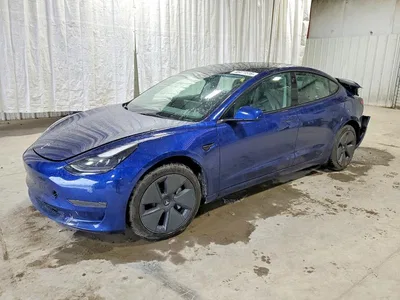 2023 TESLA MODEL 3, фото 1, лот 10851082