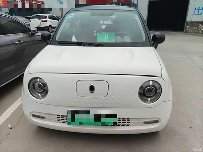 2019 Ora Black Cat 351km Smart Edition, фото 2, лот 10400763