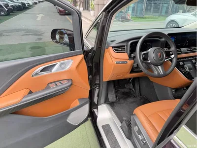 2024 Hongqi HQ9 PHEV Model 2.0T AWD Business Edition, фото 4, лот 10304105
