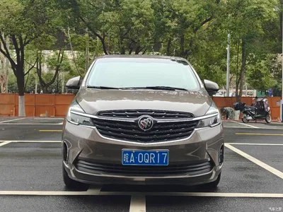 2021 Buick GL8 Land Business Class 652T Luxury, фото 2, лот 10257038