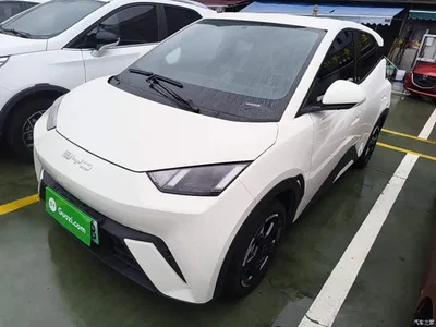2023 BYD Seagull Freedom Edition, фото 2, лот 10262779