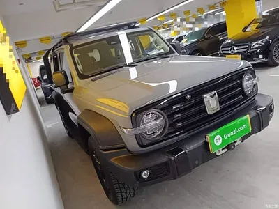 2021 Tank 300 Off-road Version 2.0T Conqueror, фото 4, лот 10345381