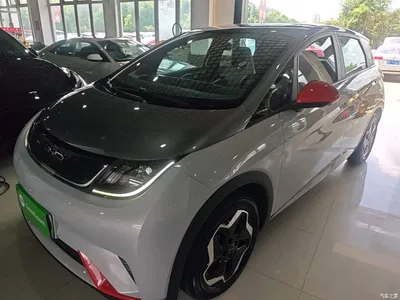 2021 BYD Dolphin 405km Freedom Edition, фото 2, лот 10263932