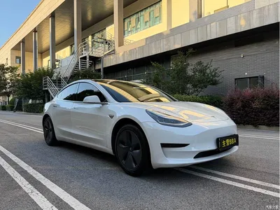 2019 Tesla Model 3 Standard Range Rear-Wheel Drive Upgrade, фото 3, лот 10355085