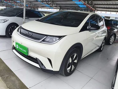 2025 BYD Dolphin 420km Freedom Edition, фото 2, лот 11241396