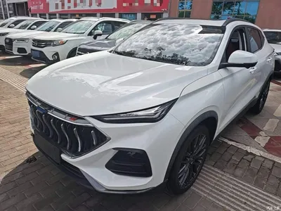 2021 Changan Oshan Changan Oushang X5 1.5T DCT Flagship, фото 1, лот 11162708