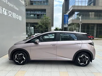 2021 BYD Dolphin Model 405km Fashion Edition, фото 3, лот 10401399