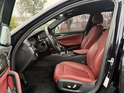 2019 BMW 5 Series 530Li Leading M Sport Package, фото 4, лот 11191847