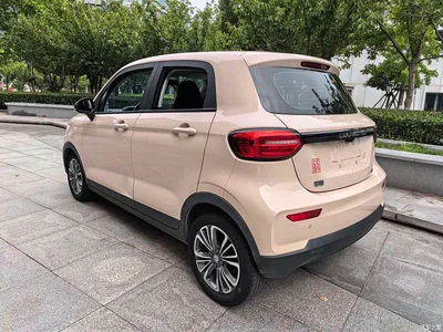 2022 Leapmotor T03 Jade Edition, фото 4, лот 11074478