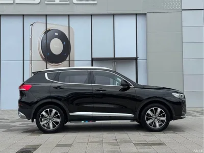 2020 Haval H6 1.5GDIT Automatic Platinum Champion Edition, фото 4, лот 10299734