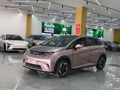 2021 BYD Dolphin 405km Freedom Edition, фото 1, лот 10255476