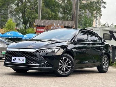 2024 BYD Qin PLUS Glory Edition DM-i 55KM Leading, фото 1, лот 10364051