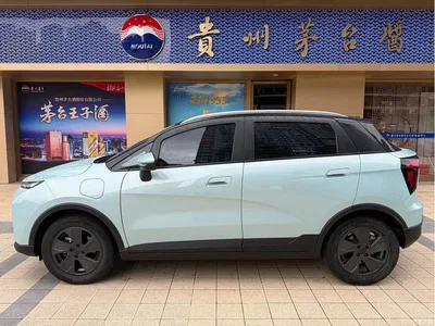 2022 Geely E Firefly 401KM Thunder Tiger 4-Seater, фото 4, лот 11409255