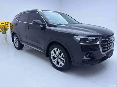 2021 Haval H6 Model National Trend Edition 1.5T Auto Champion, фото 3, лот 11202849