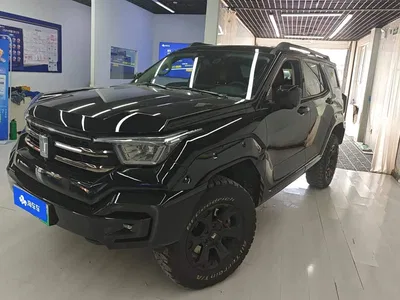 2024 Tank 400 New Energy Hi4-T Off-Road Edition, фото 1, лот 11216210