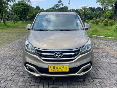 2016 SAIC Maxus Maxus G10 2.0T Automatic Executive Edition, фото 2, лот 11165938