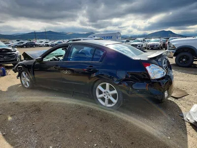 2004 NISSAN MAXIMA 3.5 SE, фото 2, лот 10974105