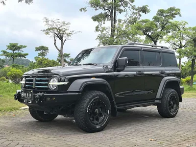 2021 Tank 300 Off-road Version 2.0T Conqueror, фото 1, лот 10400948