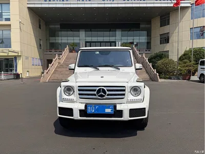 2017 Mercedes-Benz G-Class G 500, фото 1, лот 10296184