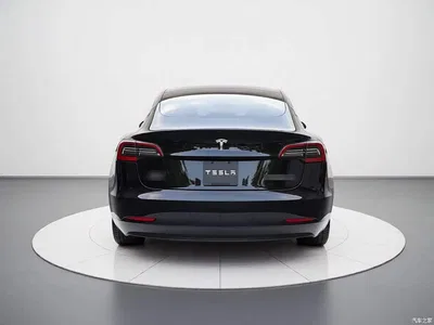 2022 Tesla Model 3 Model Rear-Wheel Drive Version, фото 3, лот 11241684