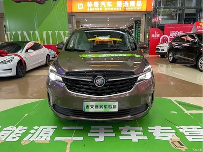2020 Buick GL8 Land Business Class 652T Premium, фото 3, лот 11520159