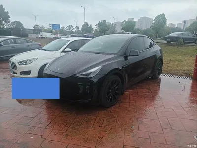 2022 Tesla Model Y Rear-Wheel Drive Version, фото 1, лот 11548890