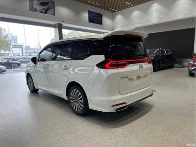 2021 GAC Trumpchi Trumpchi M6 PRO 270T Automatic Premium Edition, фото 4, лот 10420212