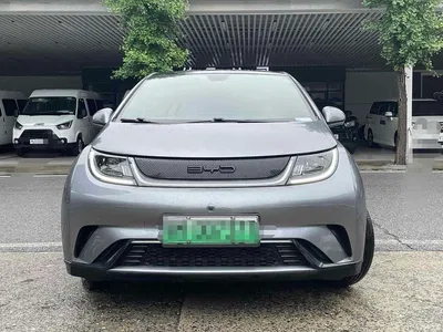2021 BYD Dolphin Model 405km Fashion Edition, фото 2, лот 10383355
