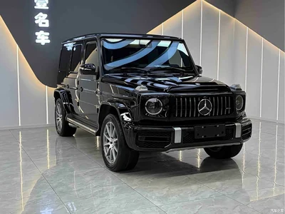 2020 Mercedes-Benz G-Class G 500, фото 1, лот 10295858
