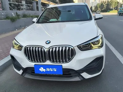 2020 BMW X1 sDrive25Li Leading Model, фото 2, лот 11564800