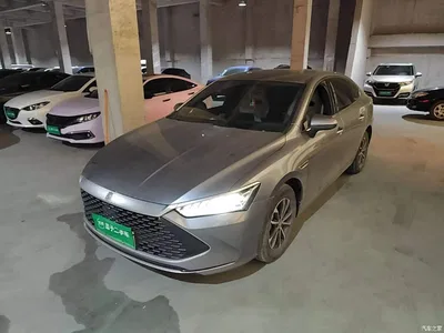 2024 BYD Qin PLUS Glory Edition DM-i 55KM Leading, фото 1, лот 10598890
