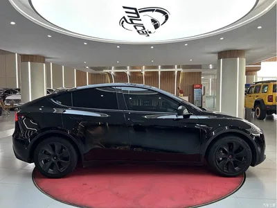 2022 Tesla Model Y Rear-Wheel Drive Version, фото 4, лот 11138594