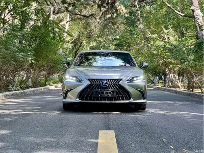 2021 Lexus ES 300h Luxury Edition, фото 4, лот 10401801