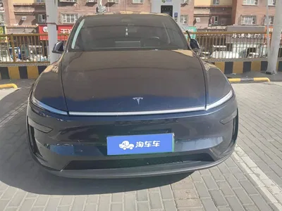 2025 Tesla Model Y Model Rear-Wheel Drive Launch Edition, фото 2, лот 10689315
