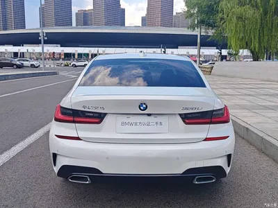 2021 BMW 3 Series 320Li M Sport Package, фото 3, лот 10830903