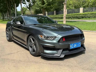 2015 Ford Mustang 2.3T 50th Anniversary Edition, фото 3, лот 11205755