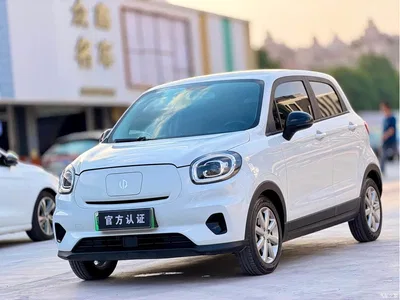 2022 Leapmotor T03 Amber Edition, фото 1, лот 10317258