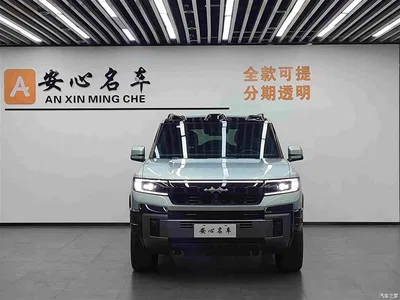 2025 Byd Leopard 8 Zhiyong Flagship 6-Seater, фото 2, лот 10835115