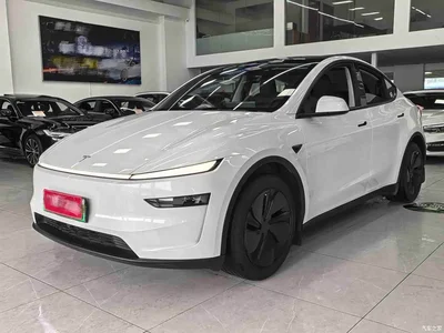 2025 Tesla Model Y Rear-Wheel Drive, фото 1, лот 10766082