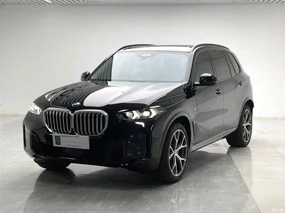 2023 BMW X5 xDrive 30Li Premium M Sport Black Night Package, фото 1, лот 10463390