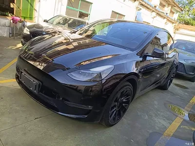 2021 Tesla Model Y Model Long Range AWD, фото 2, лот 11545349