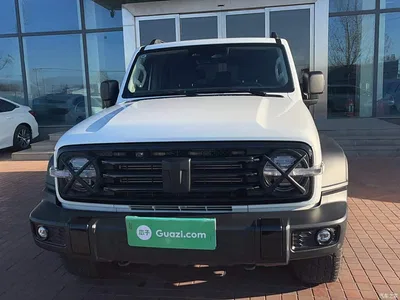 2023 Tank 300 Off-Road Edition 2.0T Conqueror, фото 3, лот 10345555
