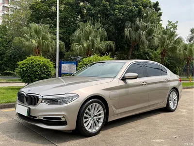 2020 BMW 5 Series New Energy 530Le Range Upgrade Luxury Package, фото 1, лот 10893753