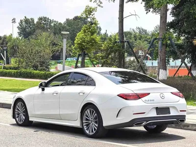 2020 Mercedes-Benz CLS 300 Dynamic, фото 3, лот 10300086
