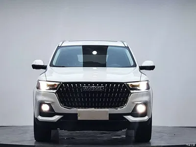 2023 Haval H6 National Trend Edition 1.5T Automatic Champion, фото 2, лот 10282977