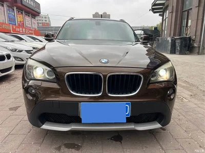 2012 BMW X1 xDrive20i Luxury, фото 2, лот 10466461