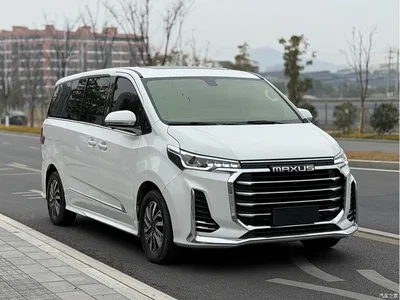 2021 SAIC Maxus Maxus G20 PLUS 2.0T Gasoline Automatic Luxury Edition, фото 3, лот 11162324