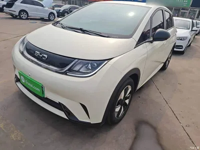 2025 BYD Dolphin 420km Freedom Edition, фото 1, лот 11187100