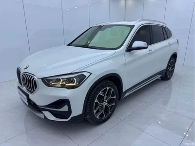 2022 BMW X1 sDrive20Li Premium, фото 1, лот 10999547