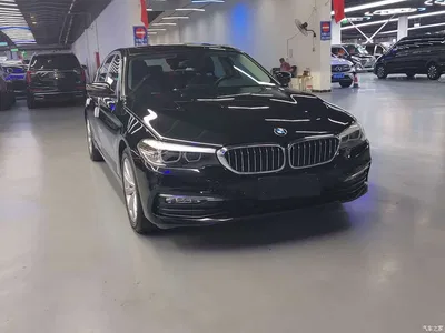 2018 BMW 5 Series 528Li Launch Special Edition, фото 3, лот 11242950